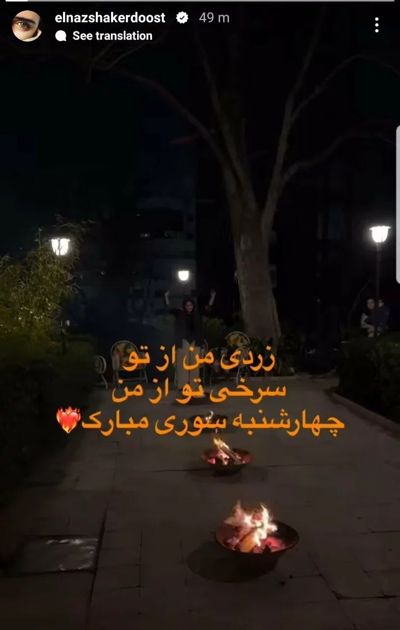 عکس | چهارشنبه سوری الناز شاکردوست چگونه گذشت؟